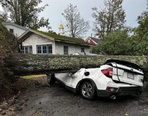 A large fallen tree, its trunk horizontal, lies across a crushed car.