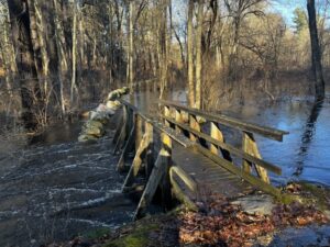 Photograph of wooden footbridge with high water on each side, almost up to the base of the bridge.