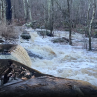 Rushing flood waters as seen from the stream bank