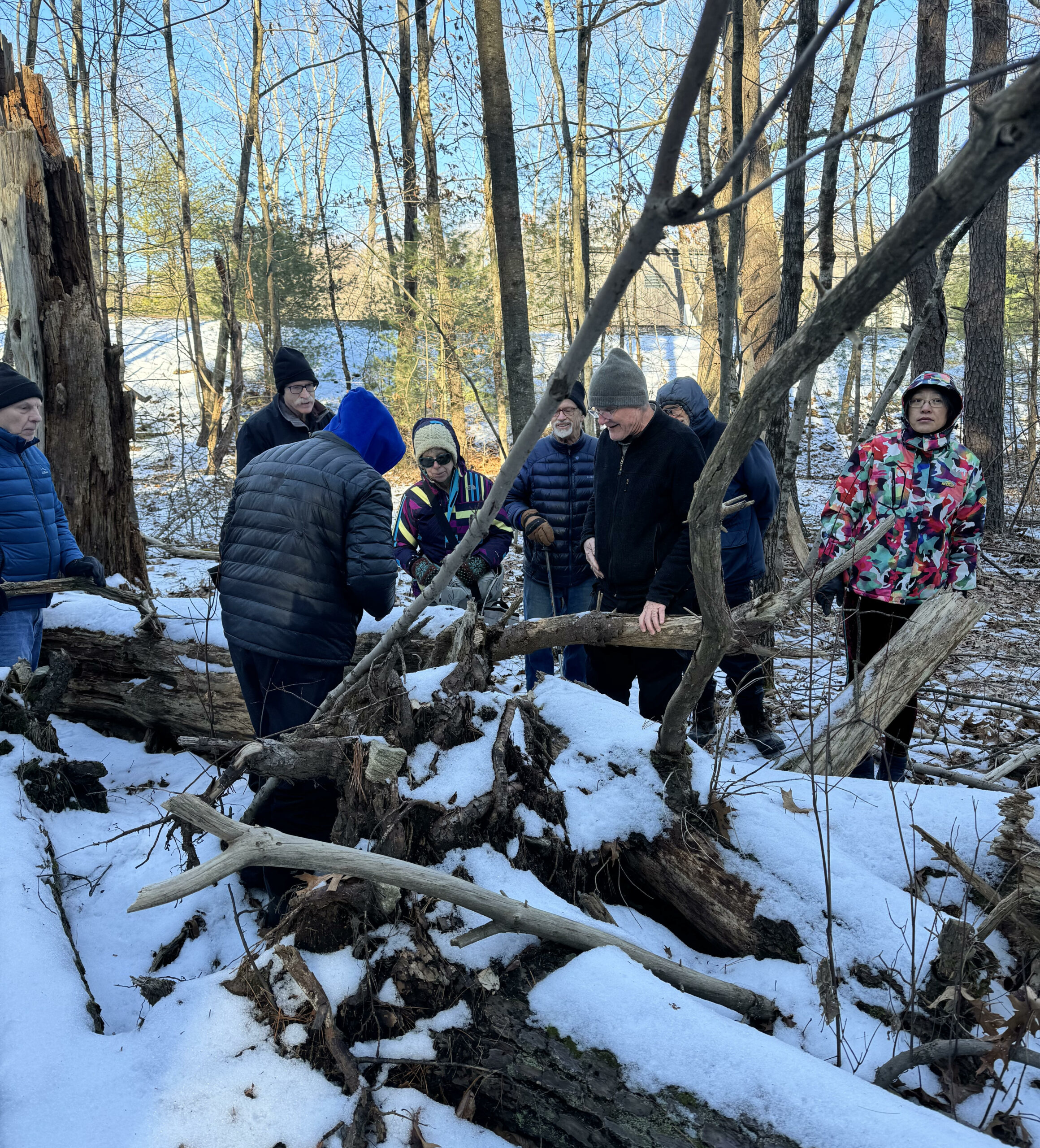 Trackers examining evidence on the ground and on a fallen tree of otter visits.