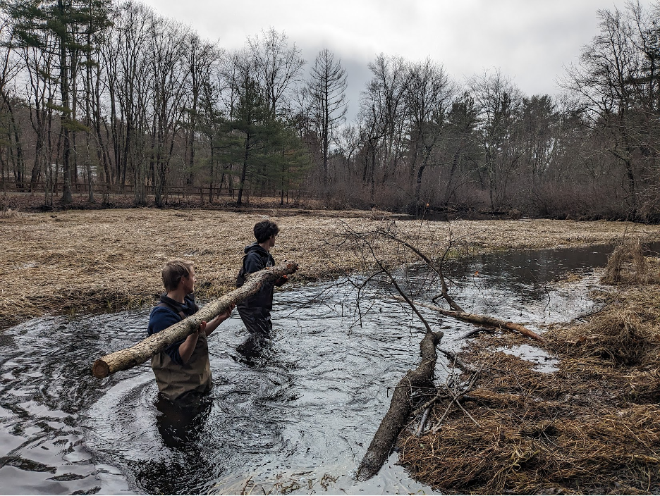 Men hip-deep in water carry a log