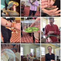 montage of people holding snakes